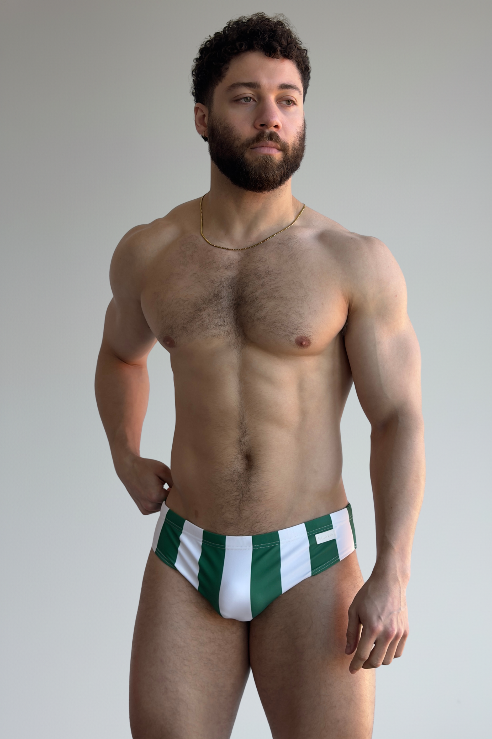 stripe swim brief - verde