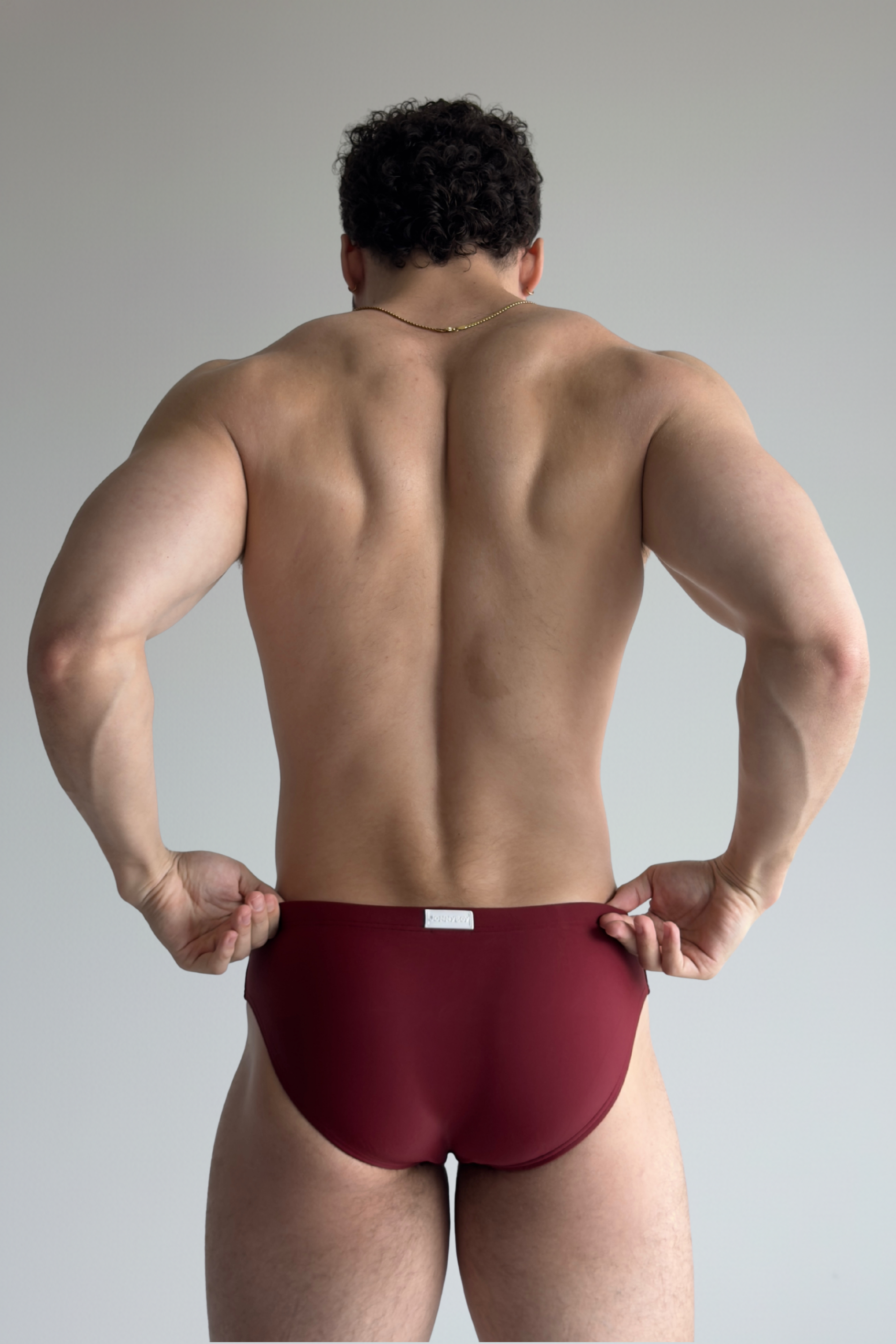 hip swim brief - burgundy