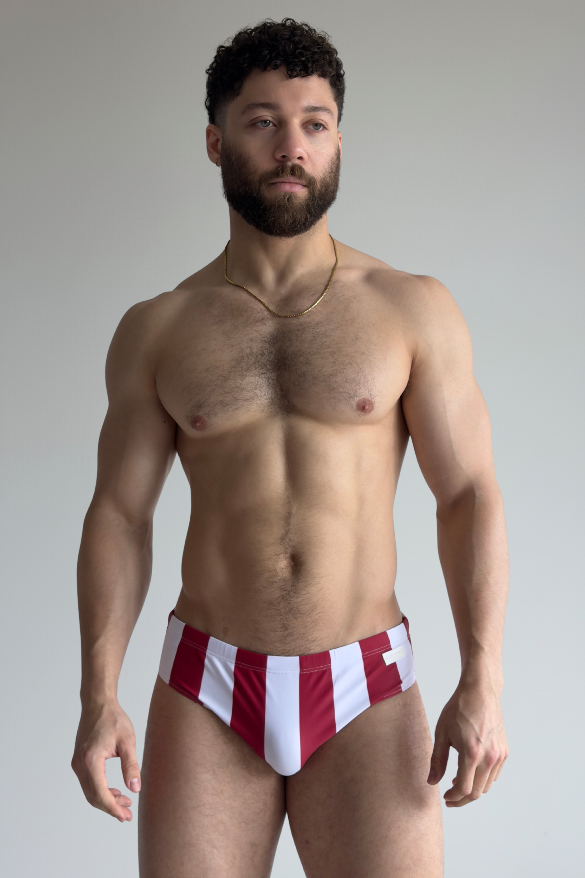 stripe swim brief - sangria
