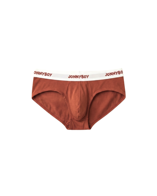 core brief - rust