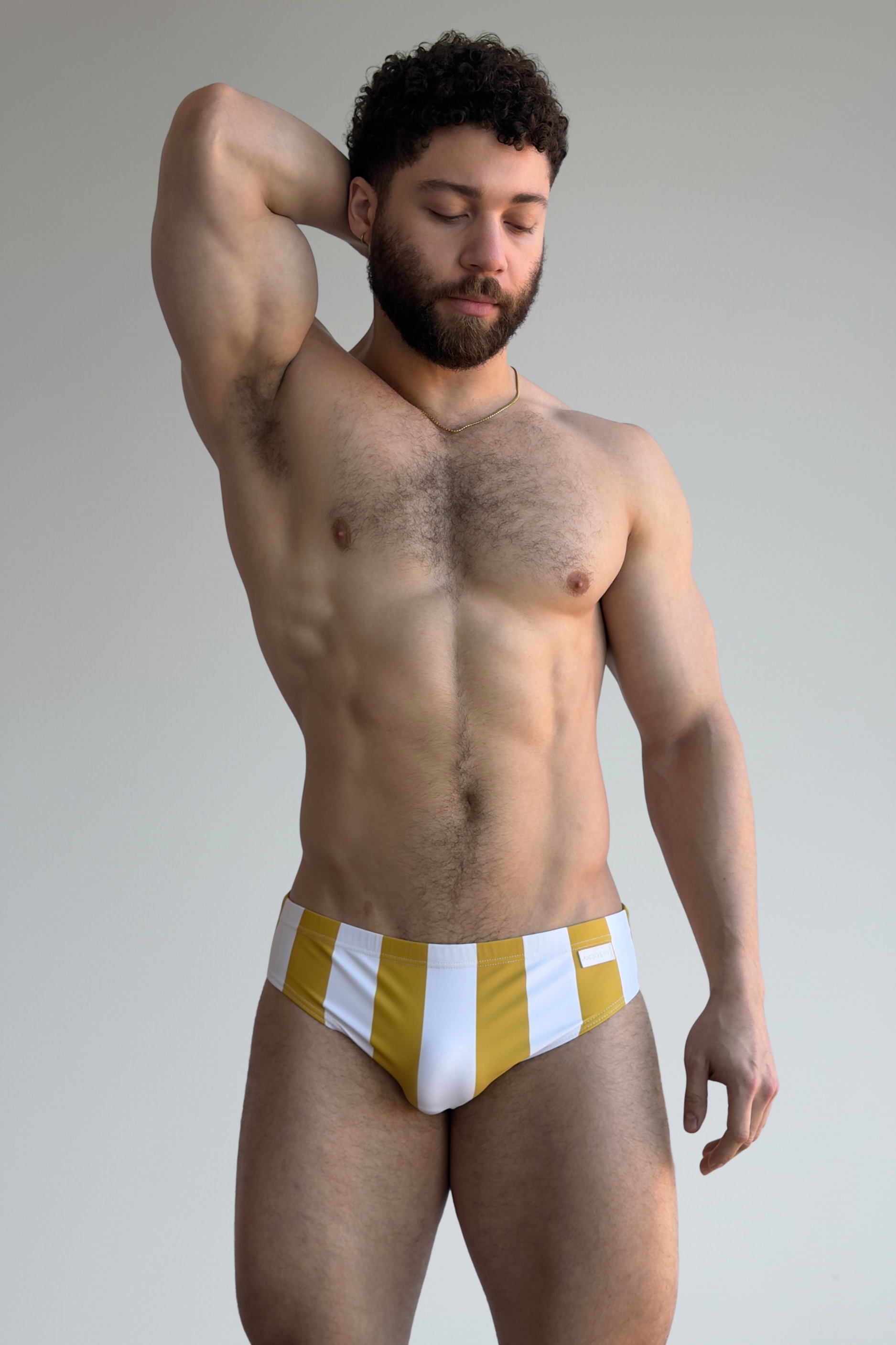 stripe swim brief - amarillo